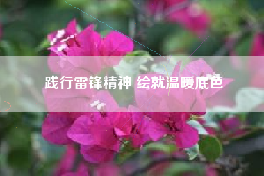 践行雷锋精神 绘就温暖底色