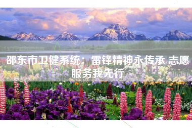 邵东市卫健系统：雷锋精神永传承 志愿服务我先行