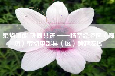 聚势赋能 协同共进 ——临空经济区（廊坊）带动中部县（区）跨越发展